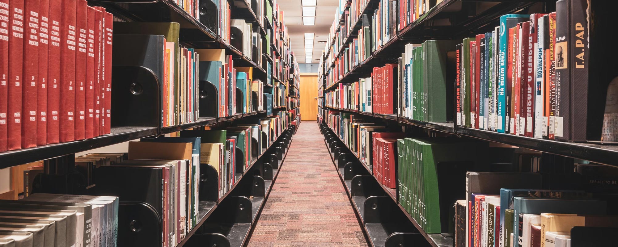 Intelya | Ciclo passivo