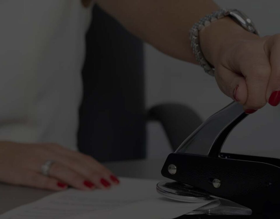 Intelya | Compliance doganale