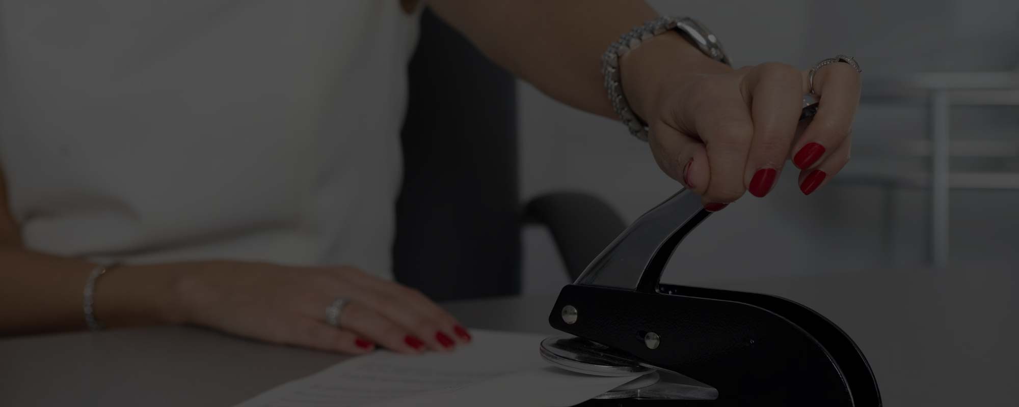 Intelya | Compliance doganale