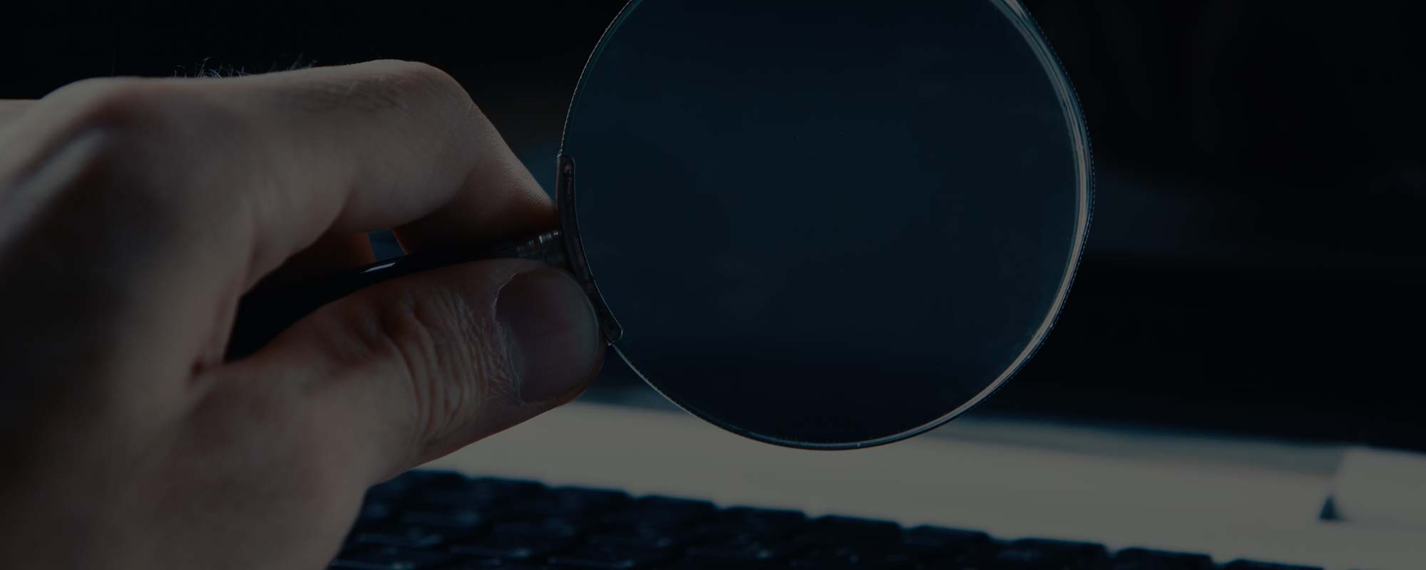 Intelya | News | Dogane In Cloud